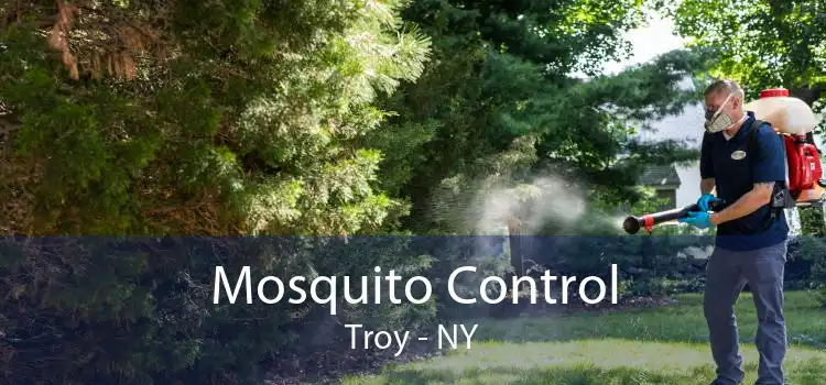 Mosquito Control Troy - NY