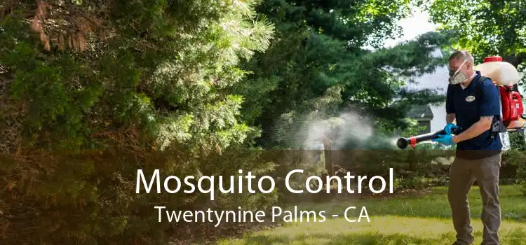 Mosquito Control Twentynine Palms - CA