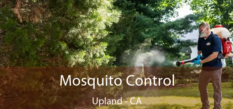  Mosquito Control Upland - CA