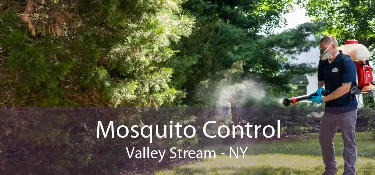Mosquito Control Valley Stream - NY