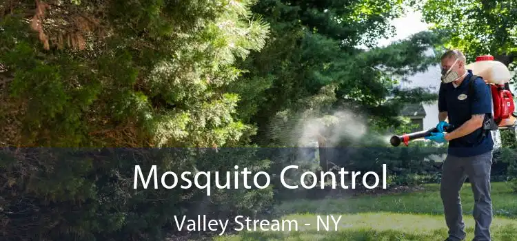  Mosquito Control Valley Stream - NY