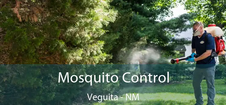  Mosquito Control Veguita - NM