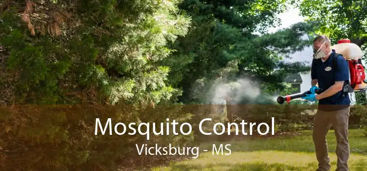 Mosquito Control Vicksburg - MS