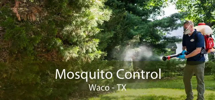 Mosquito Control Waco - TX