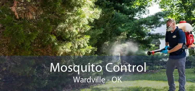 Mosquito Control Wardville - OK