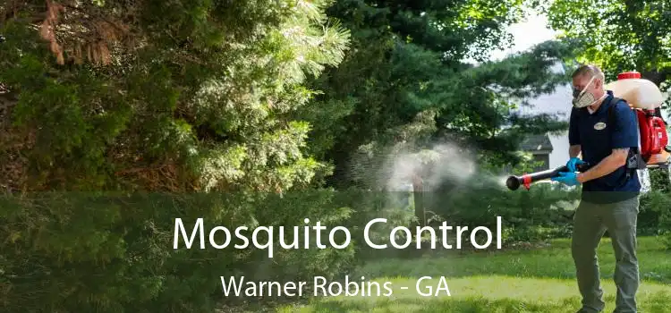 Mosquito Control Warner Robins - GA