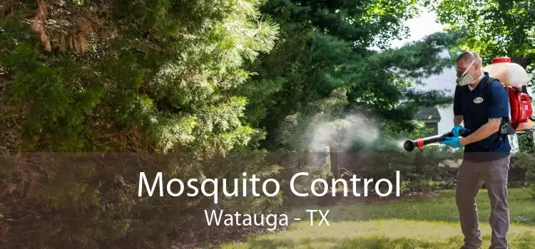Mosquito Control Watauga - TX