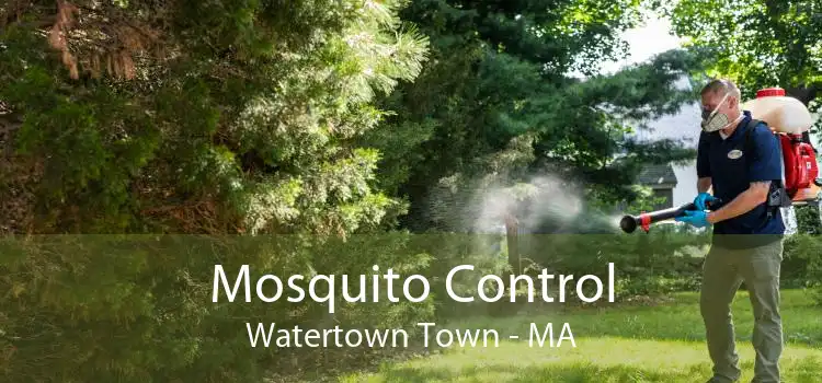 Mosquito Control Watertown Town - MA