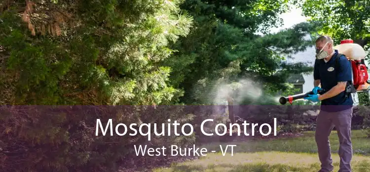 Mosquito Control West Burke - VT