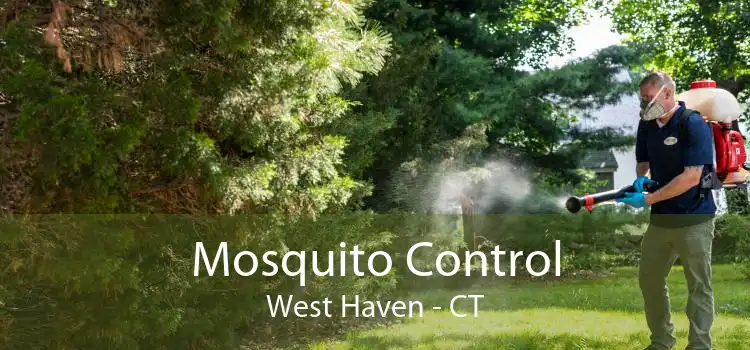 Mosquito Control West Haven - CT