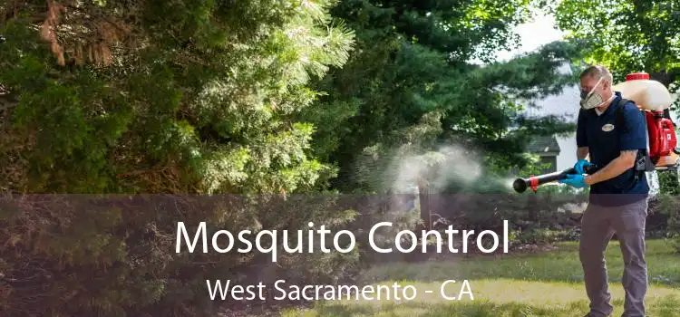  Mosquito Control West Sacramento - CA