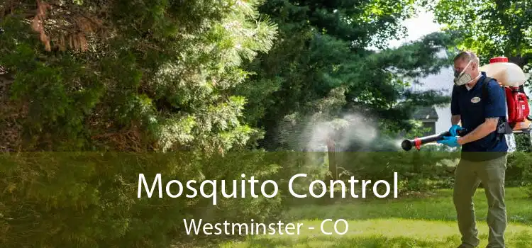  Mosquito Control Westminster - CO