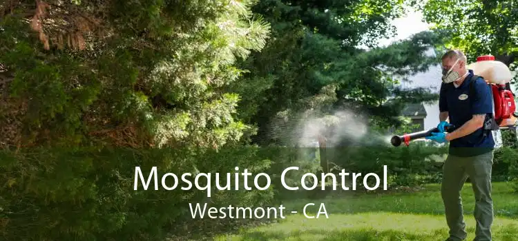 Mosquito Control Westmont - CA