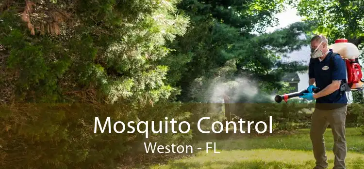 Mosquito Control Weston - FL