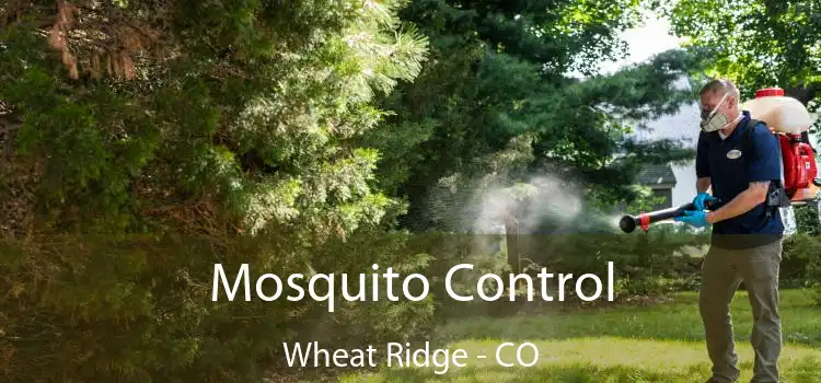  Mosquito Control Wheat Ridge - CO