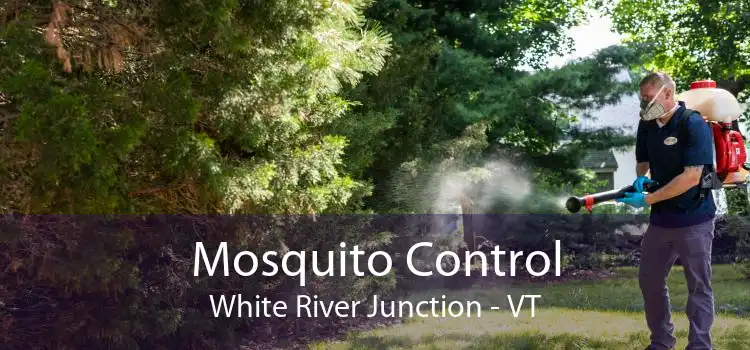 Mosquito Control White River Junction - VT