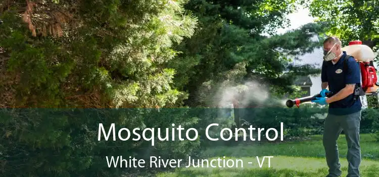  Mosquito Control White River Junction - VT