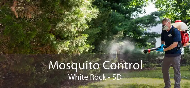 Mosquito Control White Rock - SD