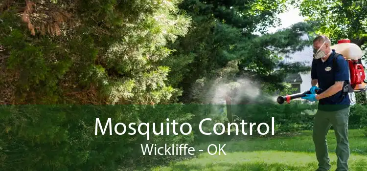 Mosquito Control Wickliffe - OK