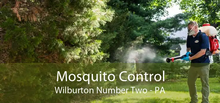 Mosquito Control Wilburton Number Two - PA