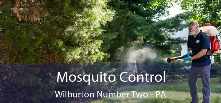  Mosquito Control Wilburton Number Two - PA