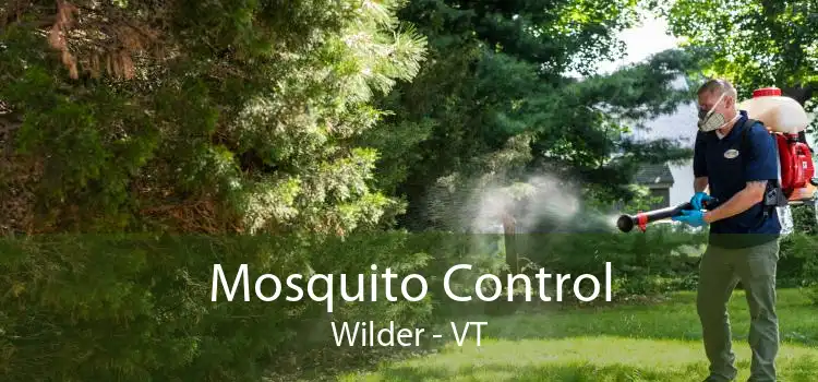 Mosquito Control Wilder - VT