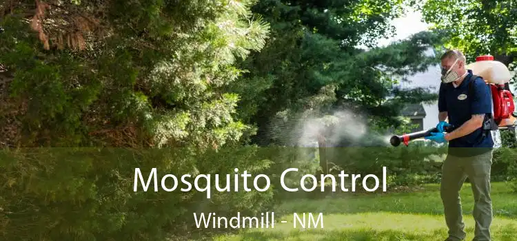  Mosquito Control Windmill - NM