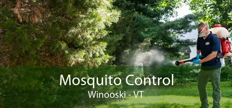 Mosquito Control Winooski - VT