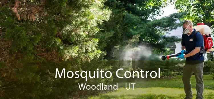 Mosquito Control Woodland - UT