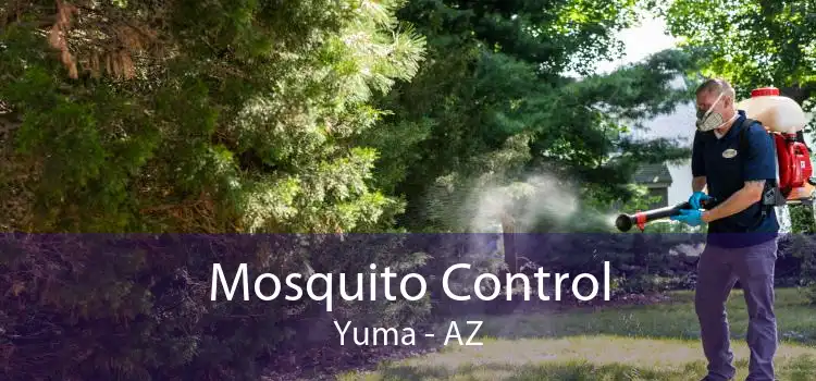 Mosquito Control Yuma - AZ