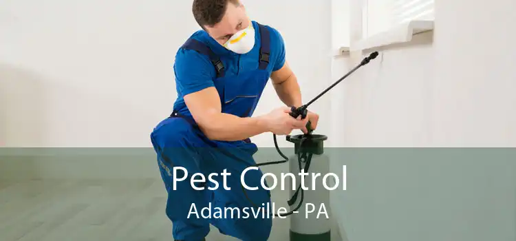 Pest Control Adamsville - PA