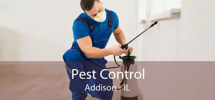 Pest Control Addison - IL