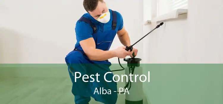 Pest Control Alba - PA
