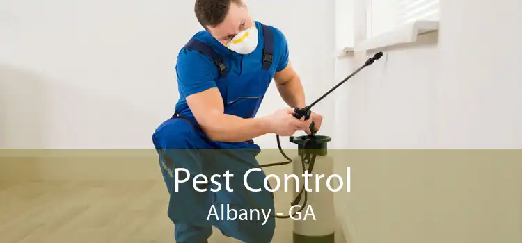 Pest Control Albany - GA