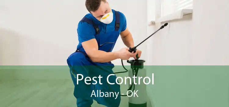 Pest Control Albany - OK