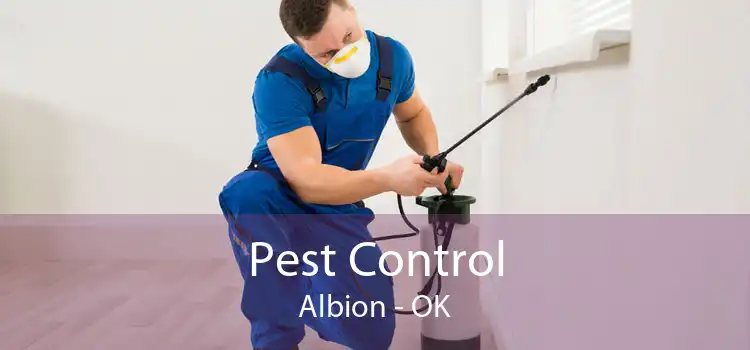 Pest Control Albion - OK