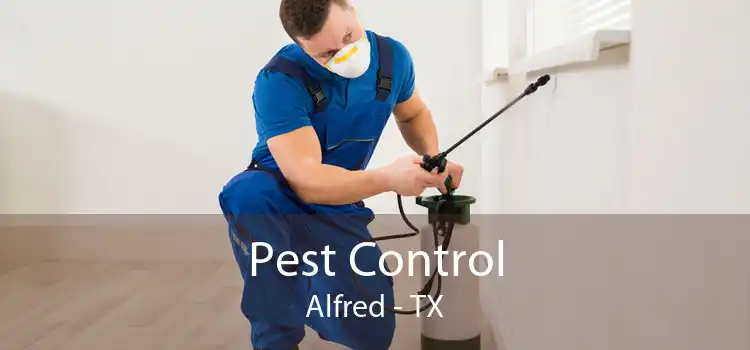 Pest Control Alfred - TX