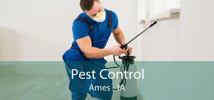 Pest Control Ames - IA