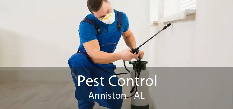 Pest Control Anniston - AL
