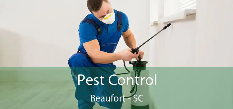 Pest Control Beaufort - SC