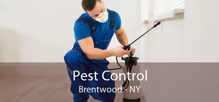 Pest Control Brentwood - NY