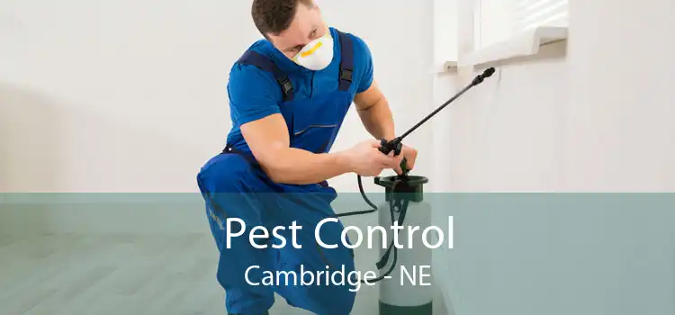 Pest Control Cambridge - NE
