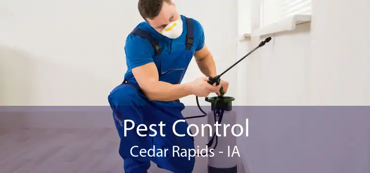 Pest Control Cedar Rapids - IA