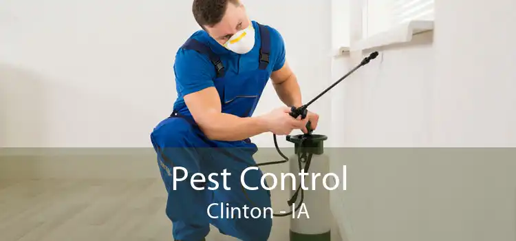 Pest Control Clinton - IA