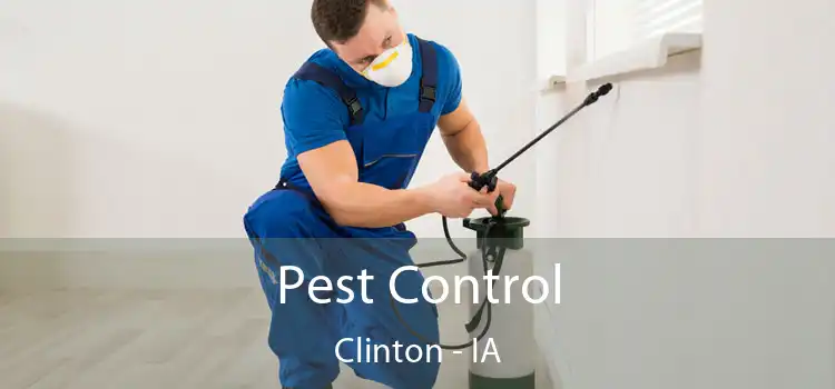 Pest Control Clinton - IA