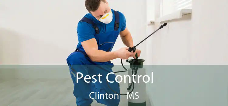 Pest Control Clinton - MS