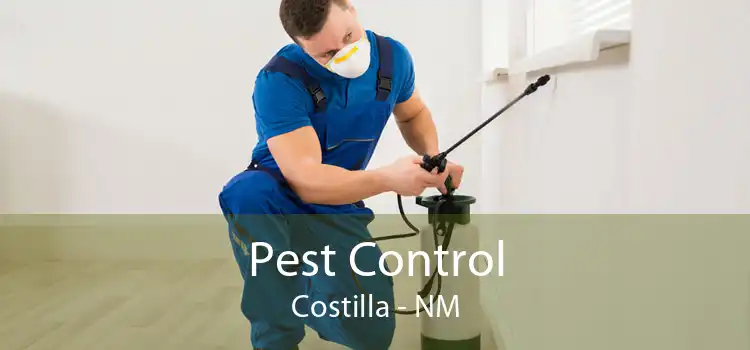 Pest Control Costilla - NM