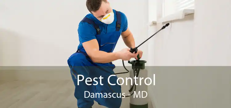 Pest Control Damascus - MD