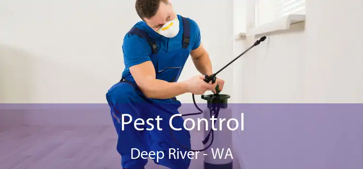 Pest Control Deep River - WA