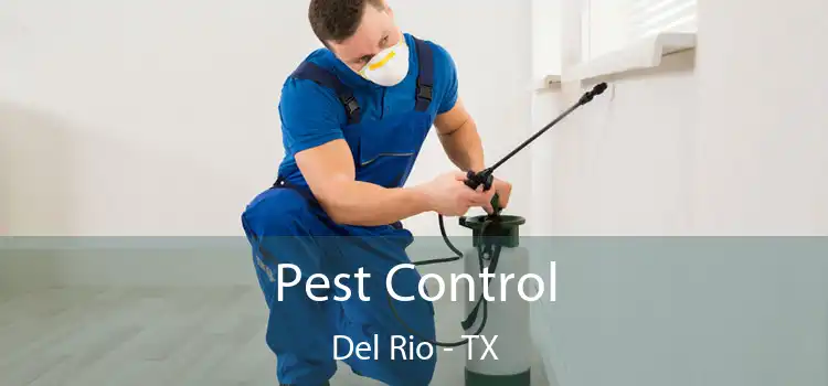 Pest Control Del Rio - TX